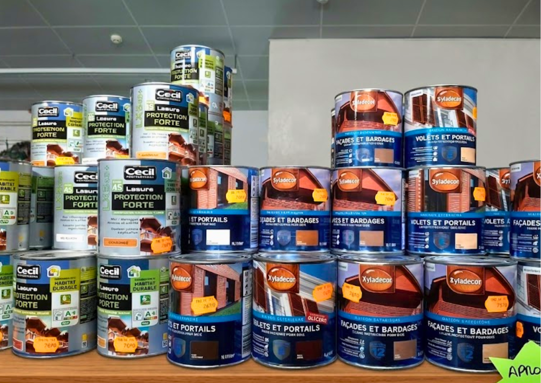 Pots de lasure protection forte Cecil Professionnel et Xyladecor pour façades, volets et portails chez Le Marais Fleuri à Marans (17) et Mareuil-sur-Lay (85).